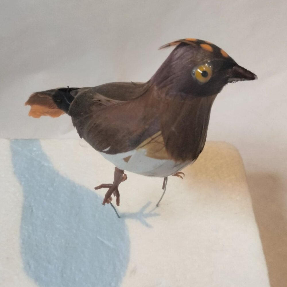 Decorative Tufted Birds Brown Orange Feathers Realistic Craft Display Lot 4 - Picture 3 of 14